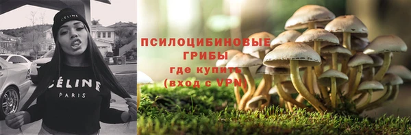 ешки Алексеевка