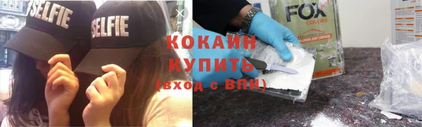 прущие грибы Арсеньев