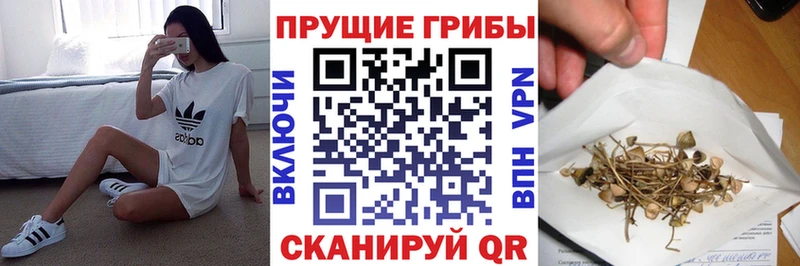 Псилоцибиновые грибы мицелий  мега ONION  Артёмовск 